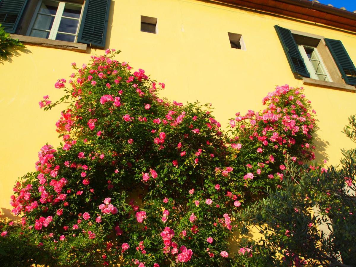 Il Sole Del Sodo Guest House กอร์โตนา ภายนอก รูปภาพ