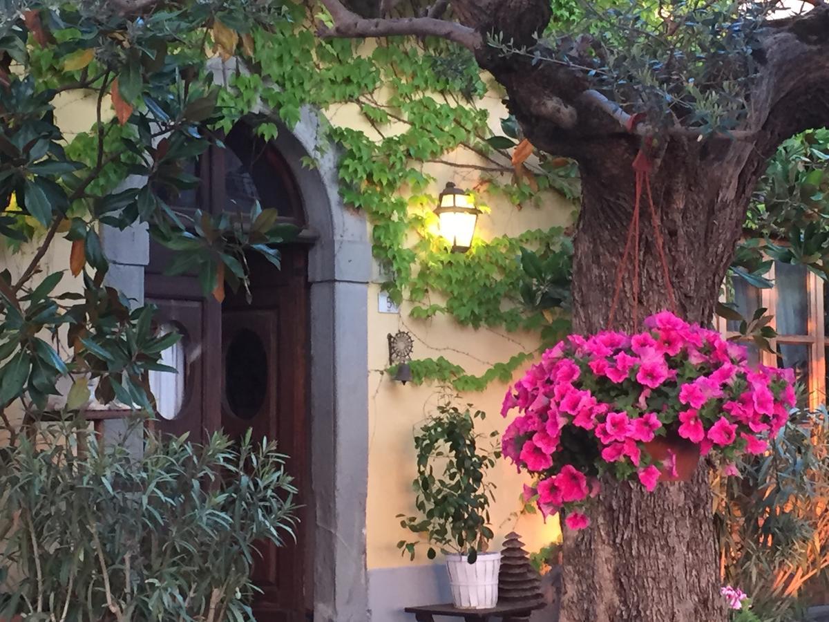 Il Sole Del Sodo Guest House กอร์โตนา ภายนอก รูปภาพ