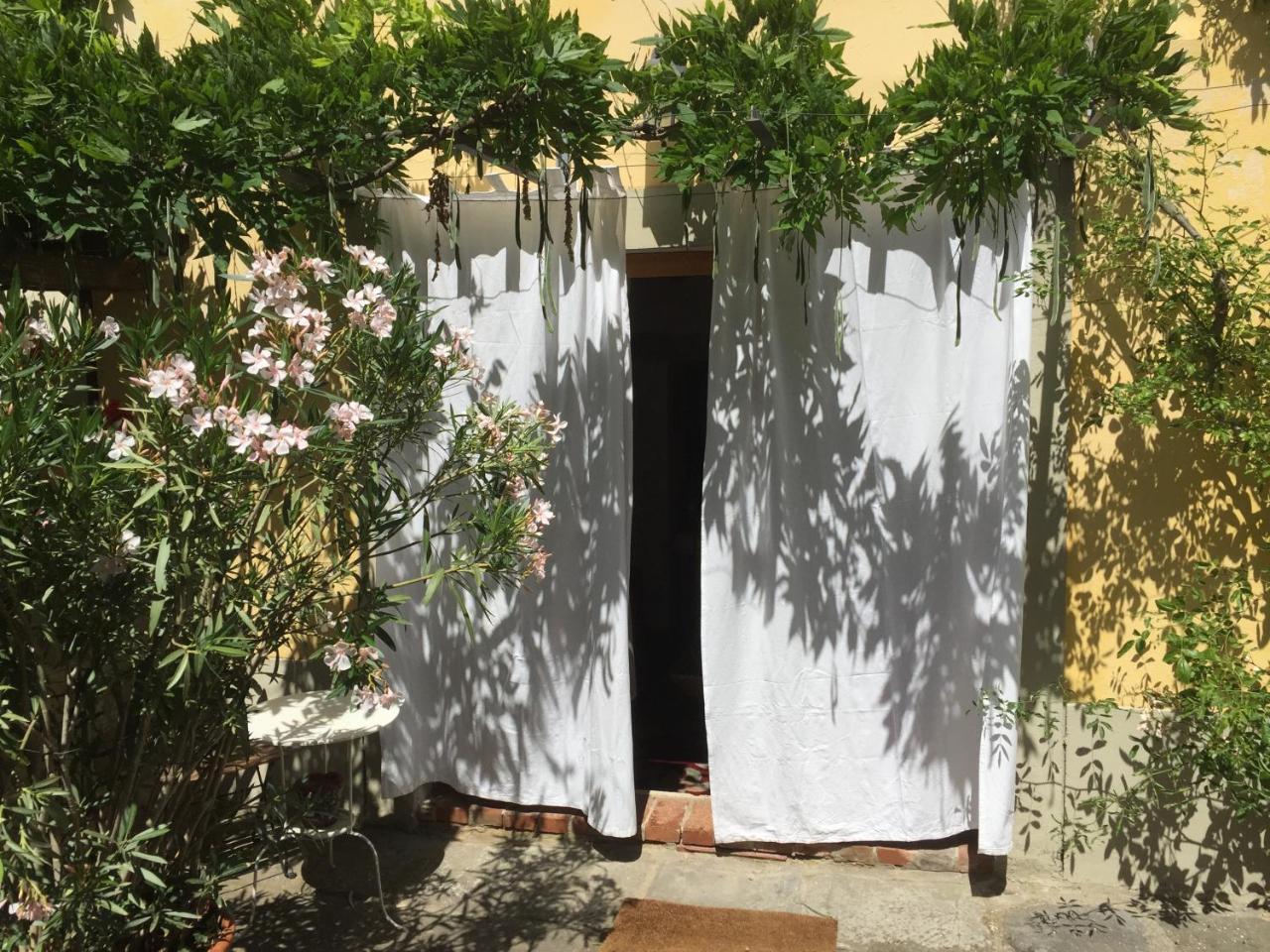 Il Sole Del Sodo Guest House กอร์โตนา ภายนอก รูปภาพ